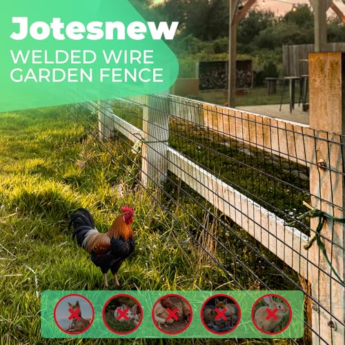 Image of Garden Fence Black PVC Coated Welded Wire Fencing 48 Inch x 100 Foot, 2 Inch x 3 Inch 16GA, Garden Border Fencing Roll Vinyl Coating Metal Wire Mesh for Yard Vegetable Plant Protection Poultry Netting