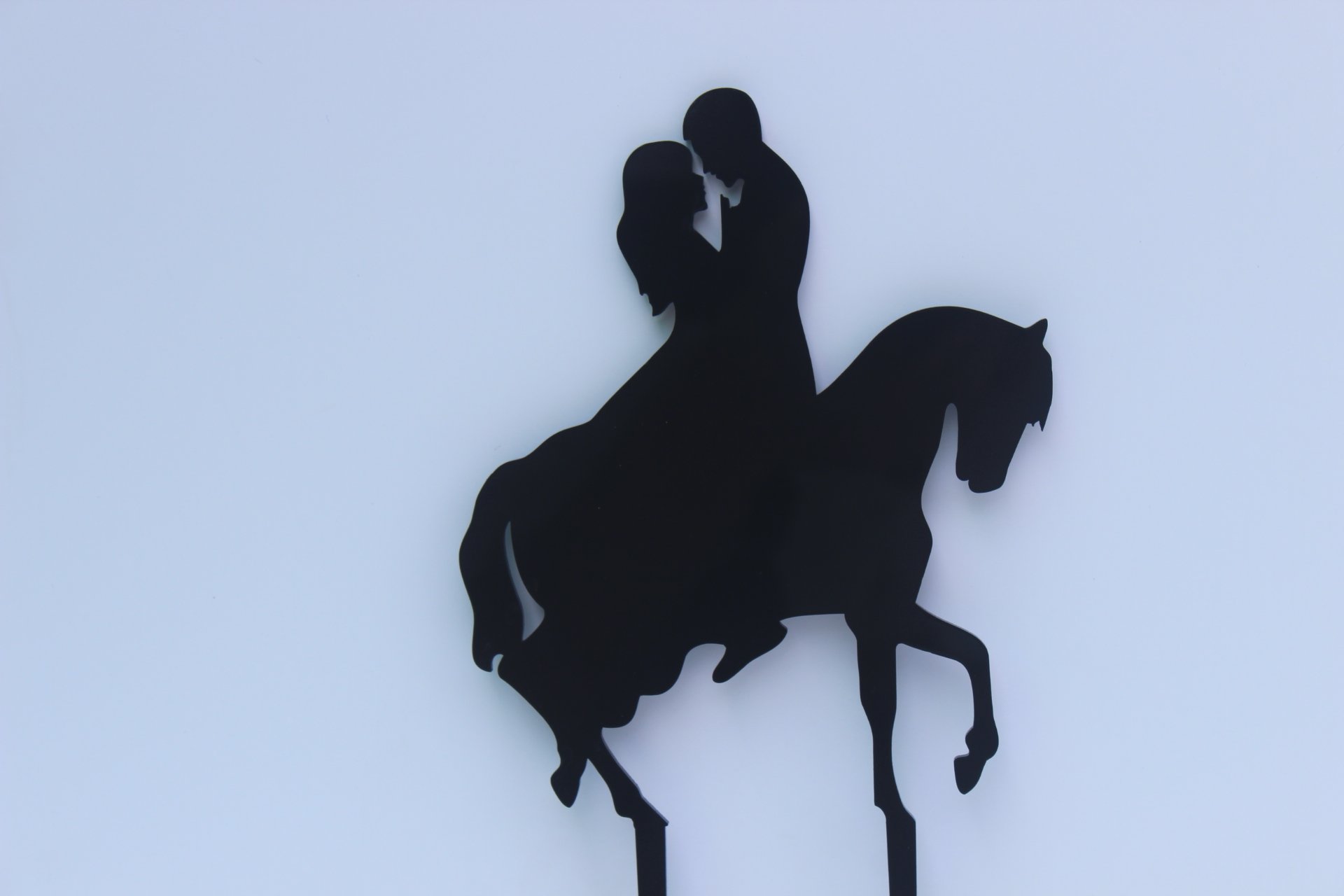 Meijiafei Wedding Cake Topper, Bride And Groom Cake Topper,Couple Cake Topper, Horse Cake Topper,Acrylic Cake Topper, Rustic Cake Topper - View #9