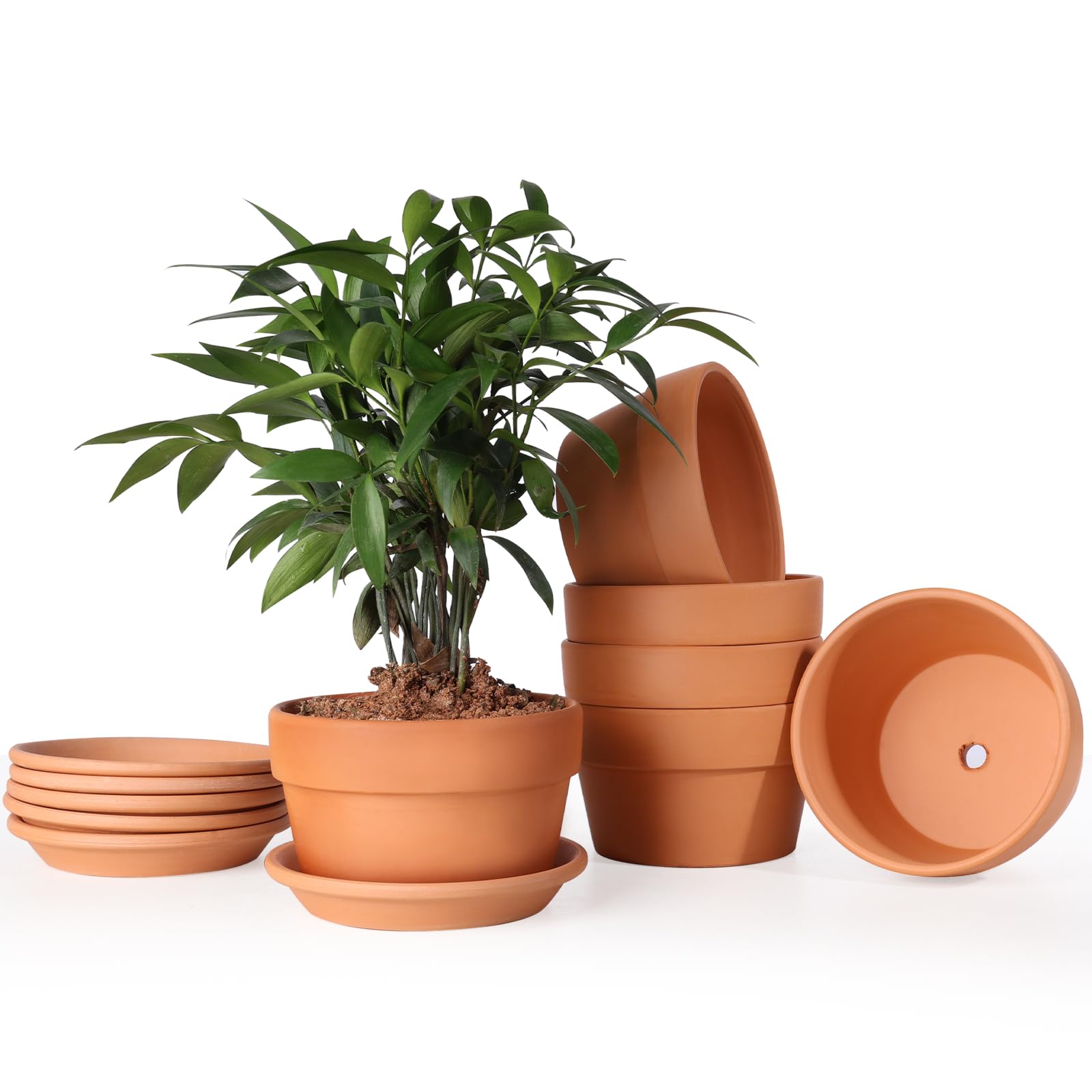 INGOFIN 5 Inch Terracotta Shallow Pots
