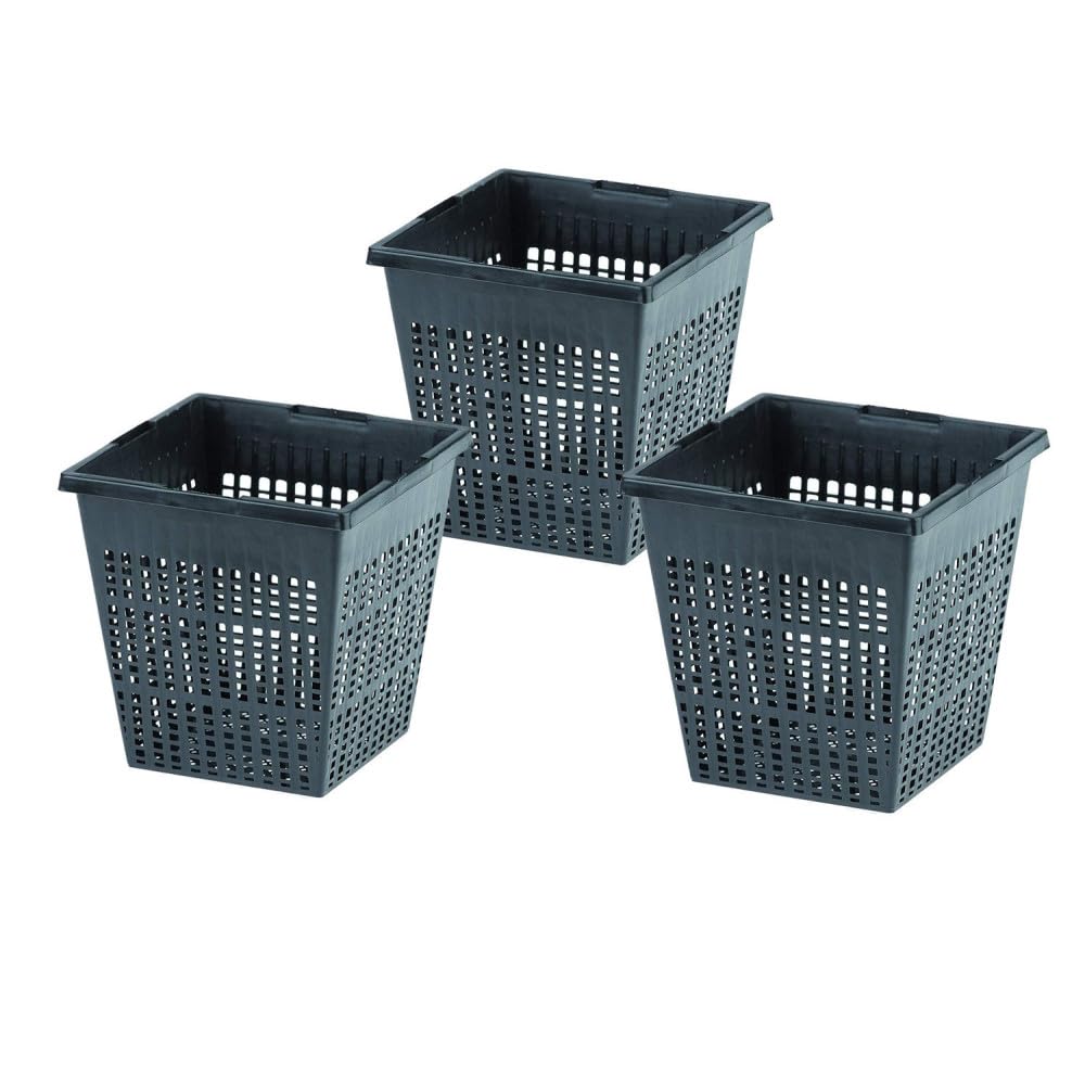 animallparadise - Lot de 10 Paniers, Taille 11 x 11 x 11 cm, pour Bassin Aquatique