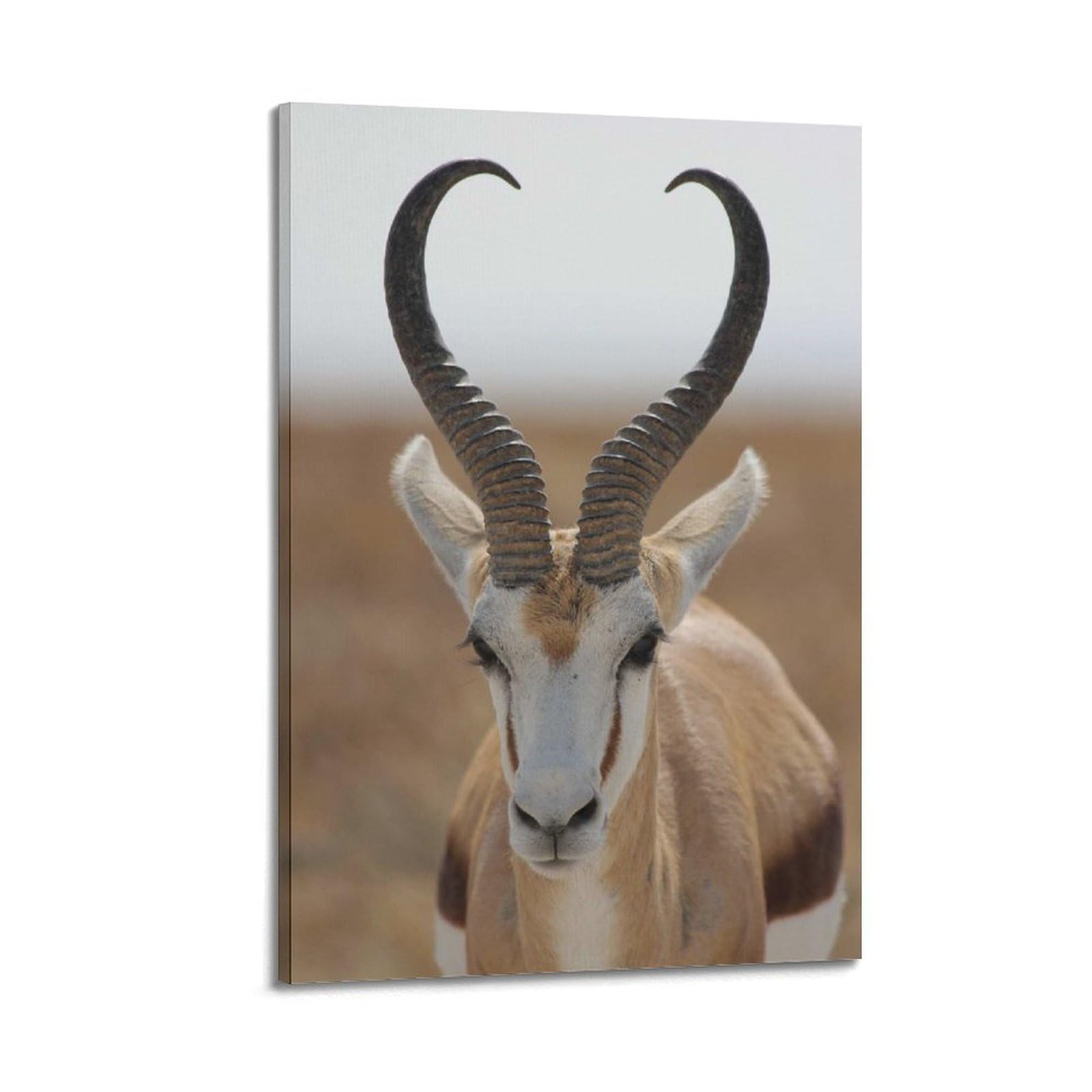 Xkuga Boys Frame-Style African Savannah Wildlife Poster Nature Vintage Springbok Modern Decorative Canvas Prints - Ideal Wall Art For Family, Man Cave, Game Room, & Girls Bedroom 24X36inch(60X90cm)