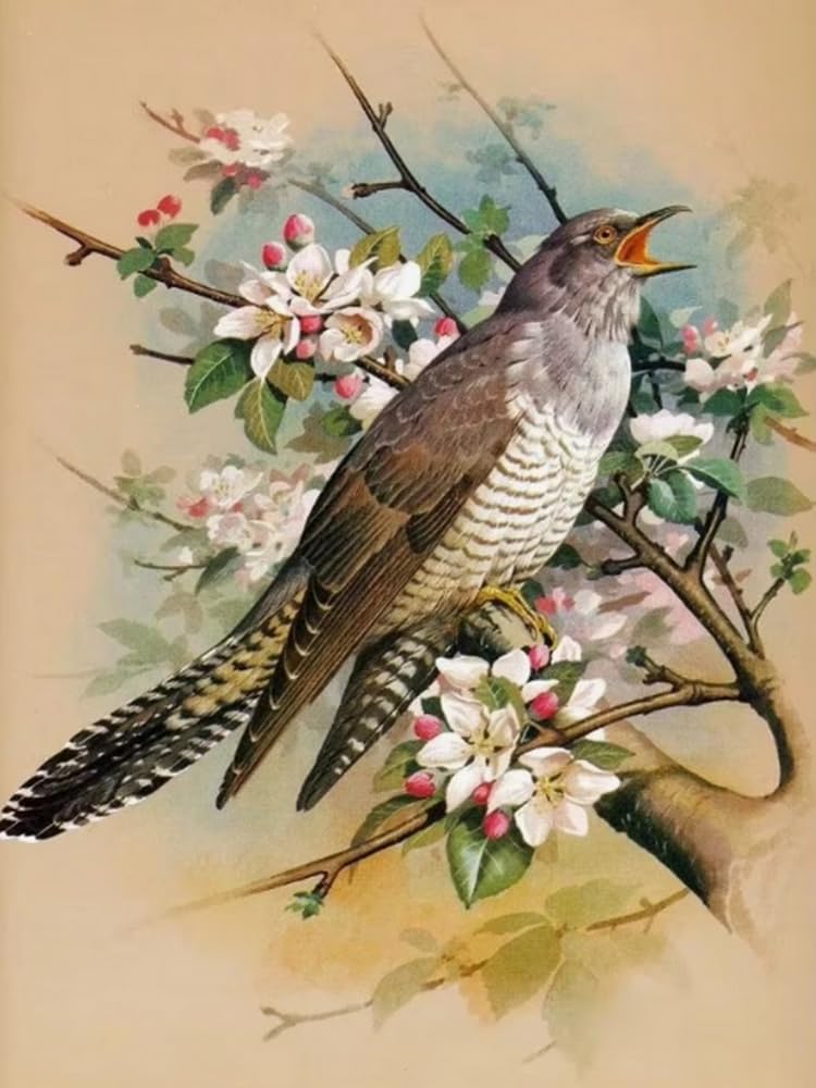 Weiniuniu Cross Stitch Kits For Adults Cuckoo 11Ct Pre Printed Stamped Beginners Cross-Stitch Kit Diy Embroidery Kit Home Decor-50X70 Cm