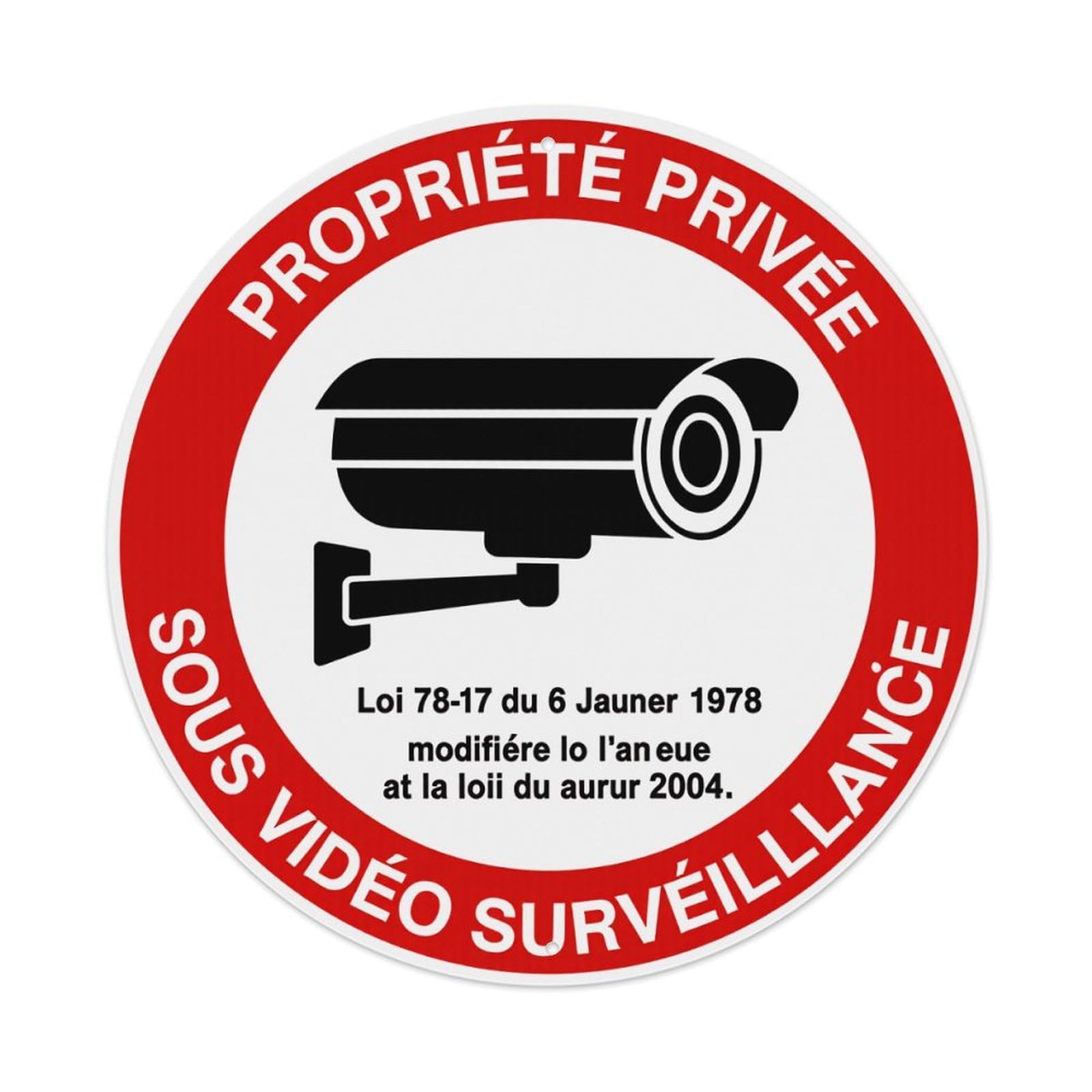 Private Property Under Video Surveillance Metal Tin Sign Vintage Garden Bedroom Cafe Bar Man Cave Home Wall Decor Metal Poster 8x8 inches
