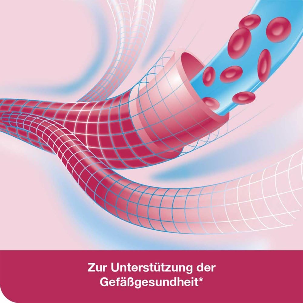 Vasologes Concept Filmtabletten 120 stk