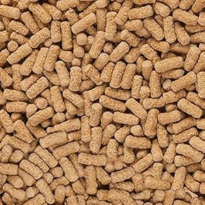 Sera Raffy Mineral: Mangime Complementare per Tartarughe e Rettili - 1000 ml (215 g)
 - immagine 2