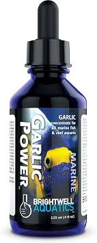 مستخلص الثوم Brightwell Aquatics GarlicPower لأغذية أسماك الزينة يعزز استجابة التغذية ويعزز التغذية مثالي للخزانات البحرية والشعاب المرجانية، 125 مل