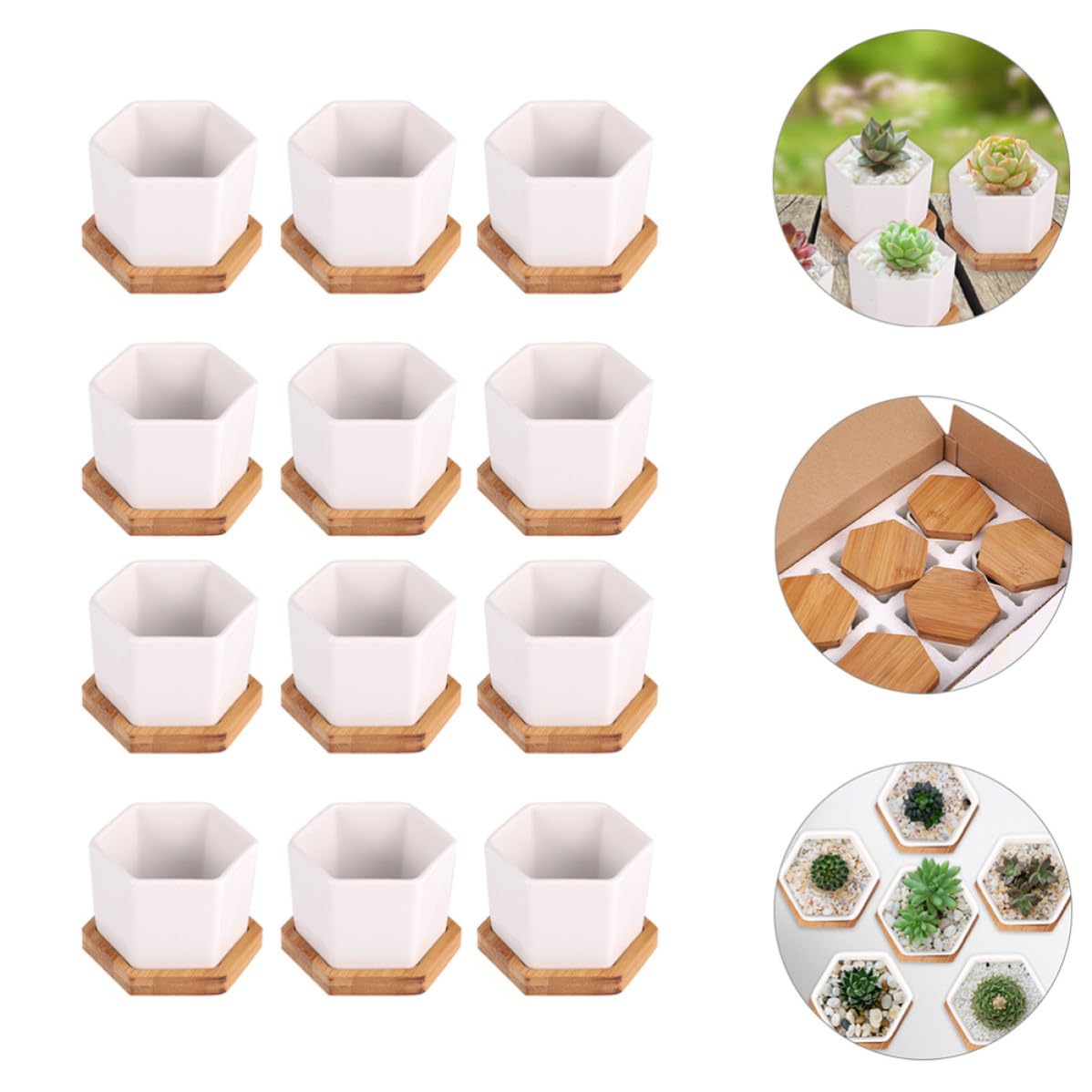 TOYANDONA 24 Pezzi Vaso per Piante Grasse in Ceramica con Piattino, Mini Esagonale Bianco, Leggero e Resistente alle Crepe, per Piccole Piante e Cactus,