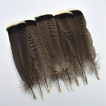 Amazon.co.jp: 100 ピース/ロット天然イーグル鳥の羽 25-30