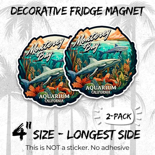 Imán decorativo vinilo 4 in 2 pack miniatura 2