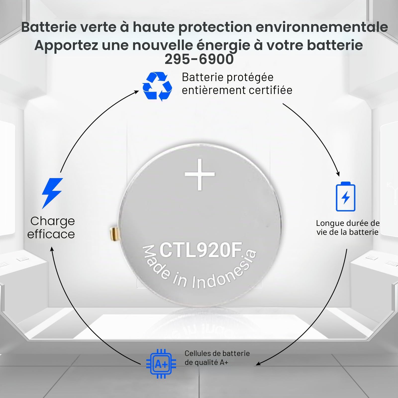 Batterie pour Citizen Eco-Drive 295-69 295-6900 CTL920F, compatible avec Panasonic Batterie de rechange pour Citizen Eco DriveE210 E260 E270 E600 E610 E650 E660 E670 G900