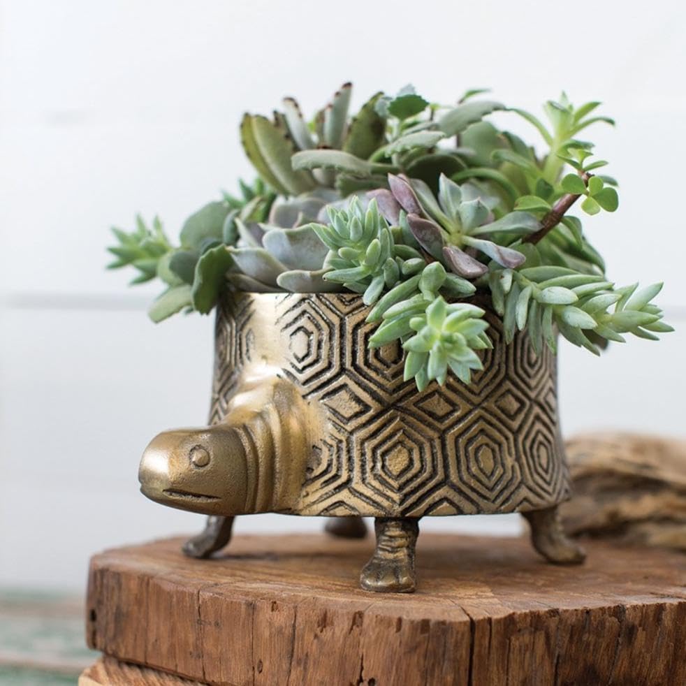 Amazon.com : SparkDazzle Metal Turtle Planter | Aluminum