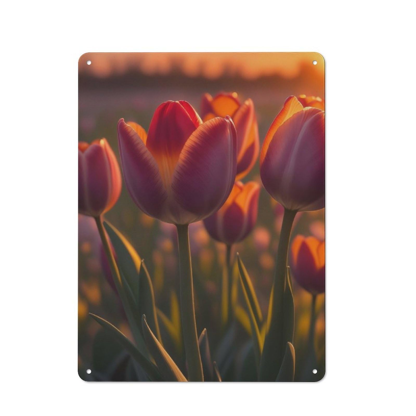 Junmoney Tulips Flowers Rustic Metal Sign 40X30cm For Hallway Wall, For Collectors Of Rustic Metal Wall Decor