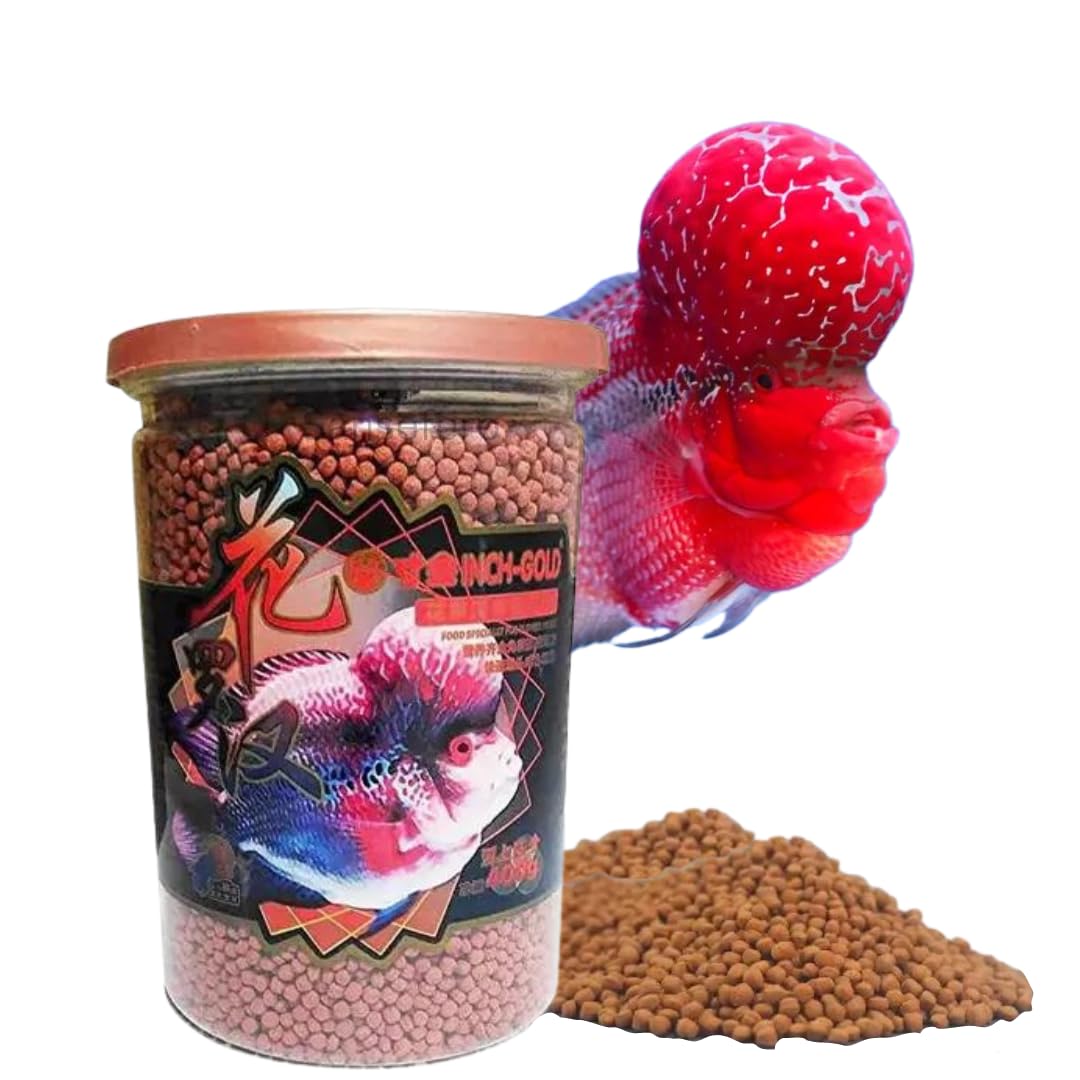 See full amazon price history chart for Premier Plants Inch Gold Flowerhorn Pellet for All Life Stages Fish Food (380Gram) Premier Plants Inch Gold Flowerhorn Pellet for All Life Stages Fish Food (380Gram) (B0CWD985YN) Amazon Price History, Amazon Price Tracker