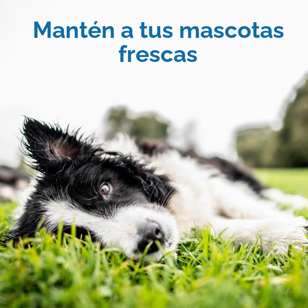 La Verde Pet Shop Self-Cooling Mascota Almohadillas