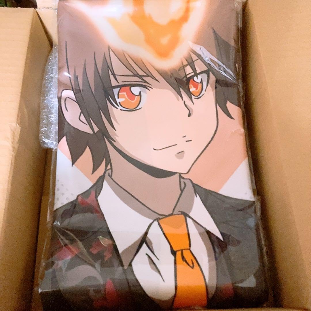 Amazon.co.jp: 家庭教師ヒットマンREBORN! くじ引き堂S賞