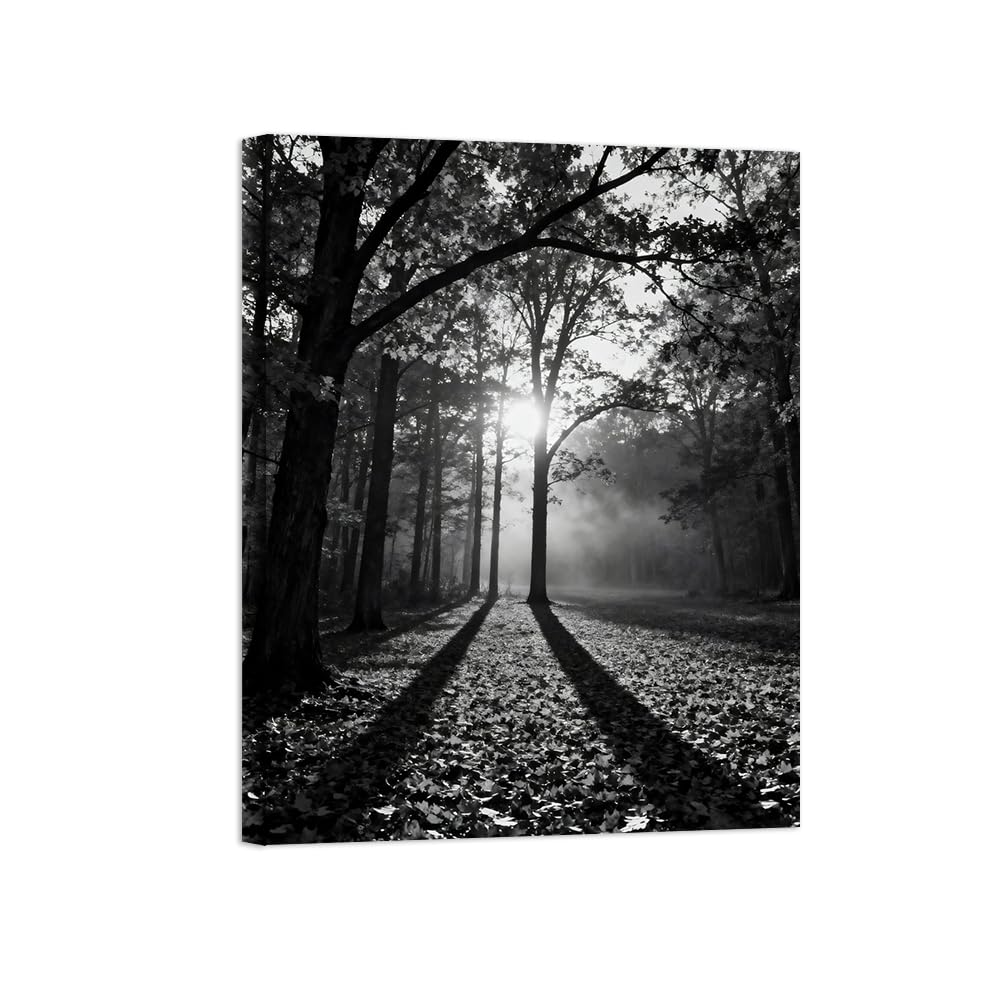 Black White Landscape Wall Art. Forest Meadow. Picture 90x117cm Unframed