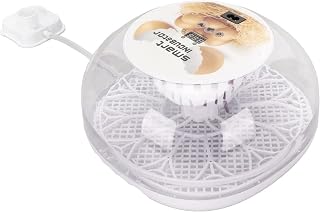 Incubadora de Ovos, 12 Ovos, Segura, Automática, Externa, Independente, Injeção de água, Exibição de Temperatura, Incubadora de Ovos Digital Doméstica para Incubação de Aves Domésticas (plugue da ue)