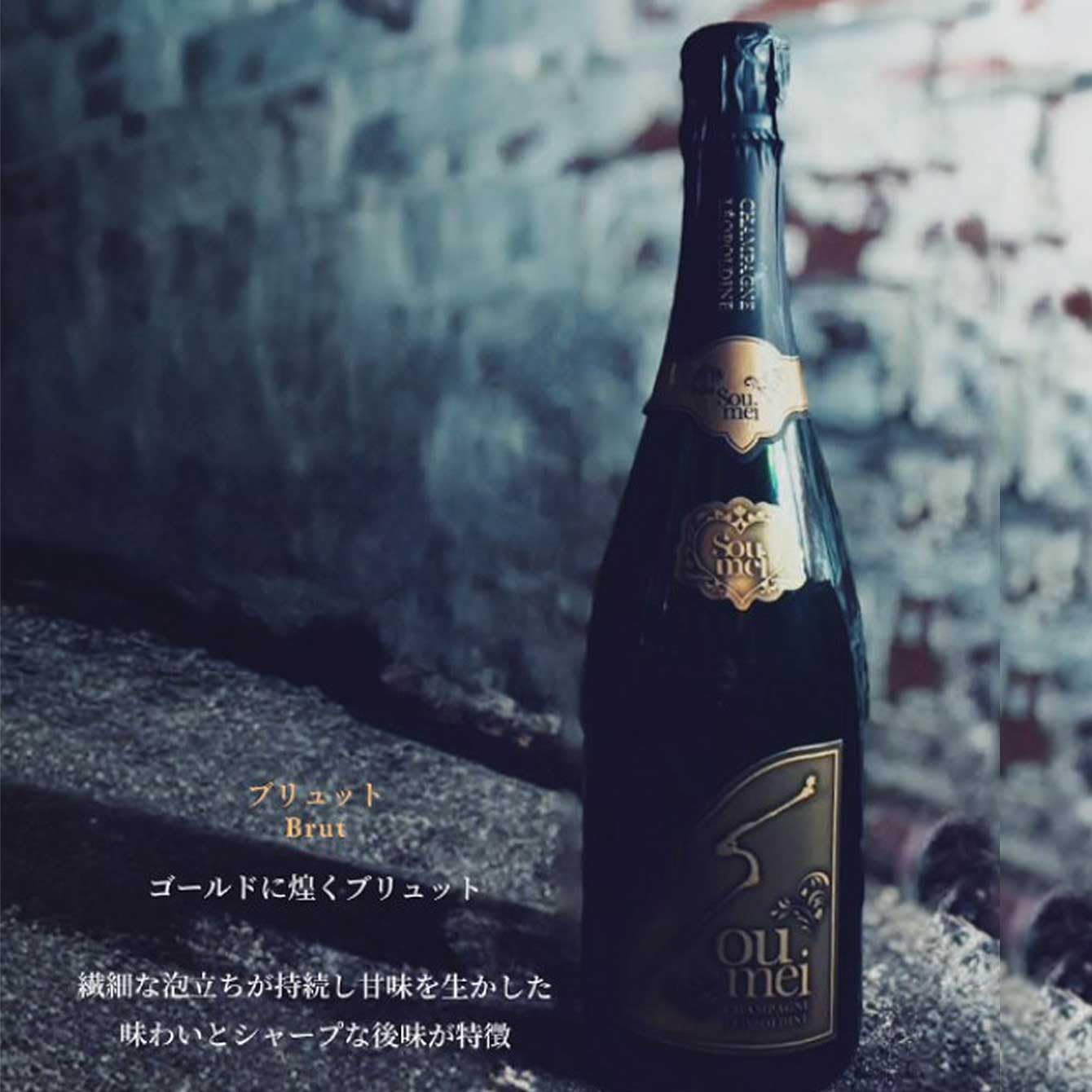 Amazon.co.jp: ＜正規品＞SOUMEIソウメイブリュット＆ブルー 2本セット