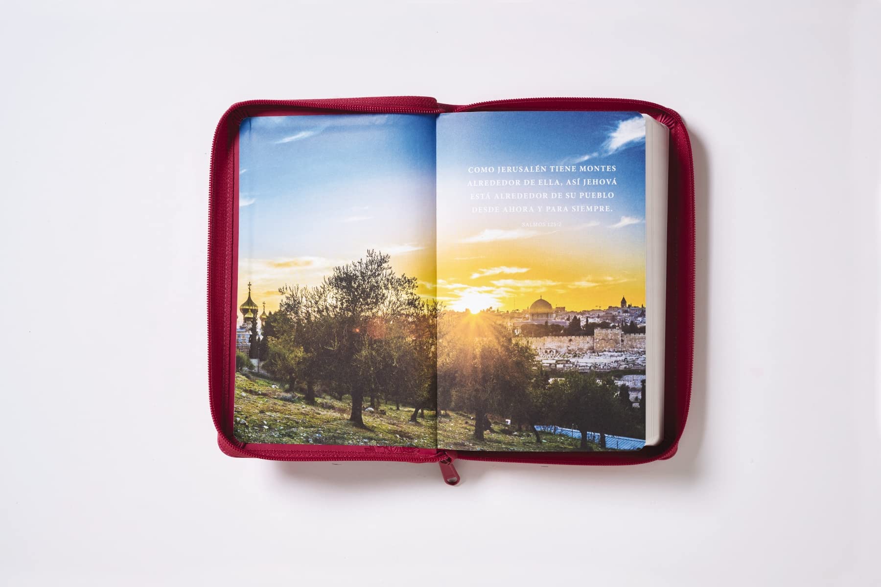 RVR60, Santa Biblia, Tierra Santa, Letra grande, Leathersoft, Fucsia, con Cierre, Palabras de Jesús en Rojo, Comfort Print (Spanish Edition)