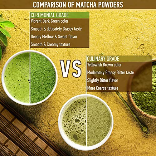 Matcha Green Tea Powder - 1.7 Ounce (50g) Authentic Japanese