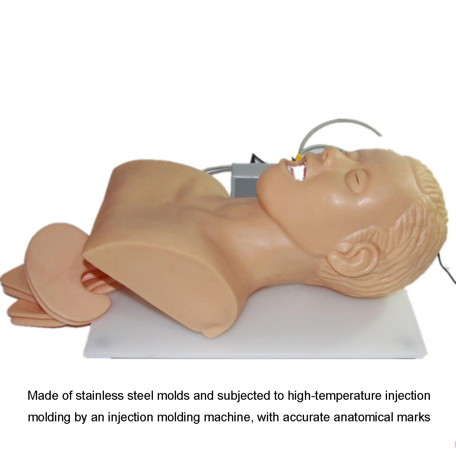 Intubación Maniquí Entrenamiento Enfermería Maniquí PVC Intubación Oral Nasal Maniquí Con Diente Alarma Dispositivo Simulador Manejo Vía Aérea Entrenador Intubación Cabeza Enseñanza Enseñó