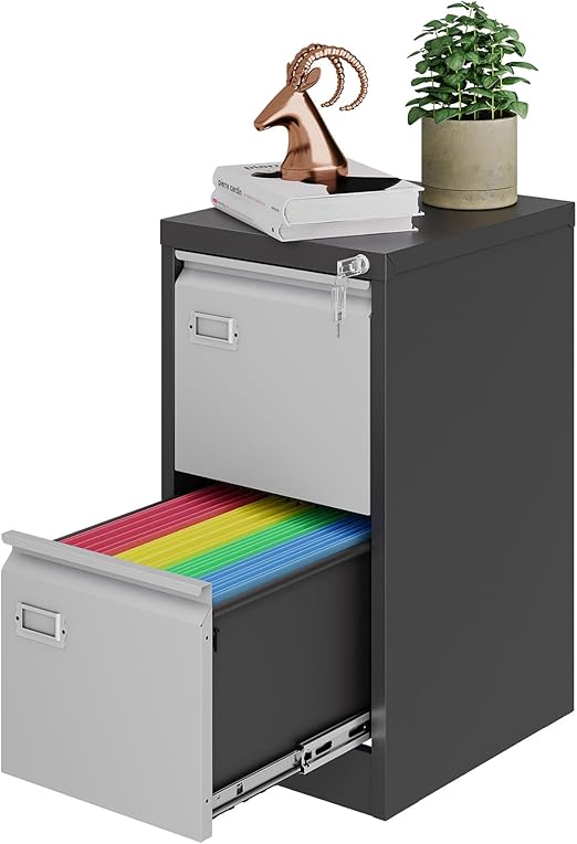NODHM 2 Drawer File with Lock, Metal Filing