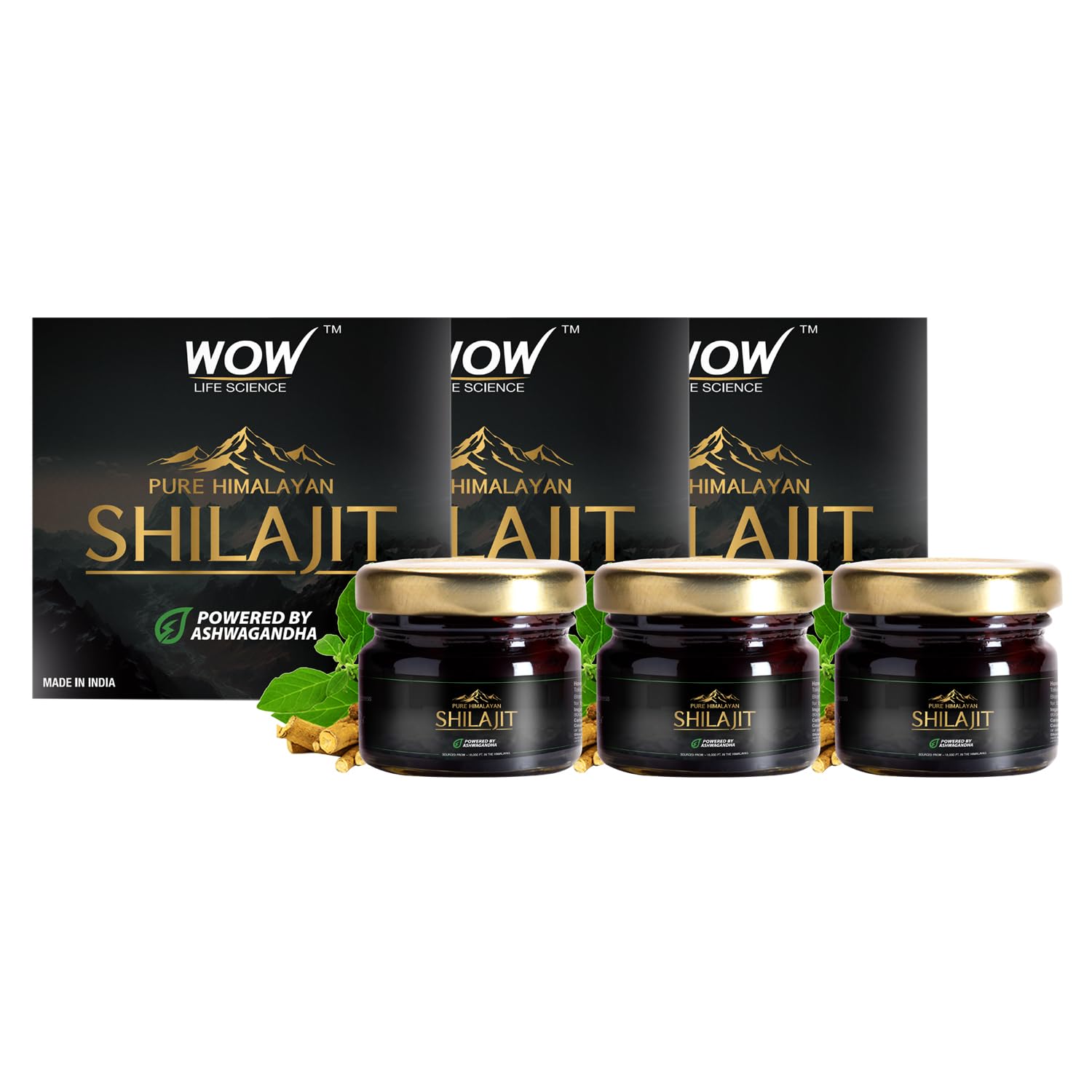 WOW Life Science Pure Himalayan Shilajit/Shilajeet Resin Powered by Ashwagandha - 20g | Guaranteed 75%+ Fulvic Acid | Enhance Strength, Stamina & Immunity | 100% Ayurvedic | Pack of 3