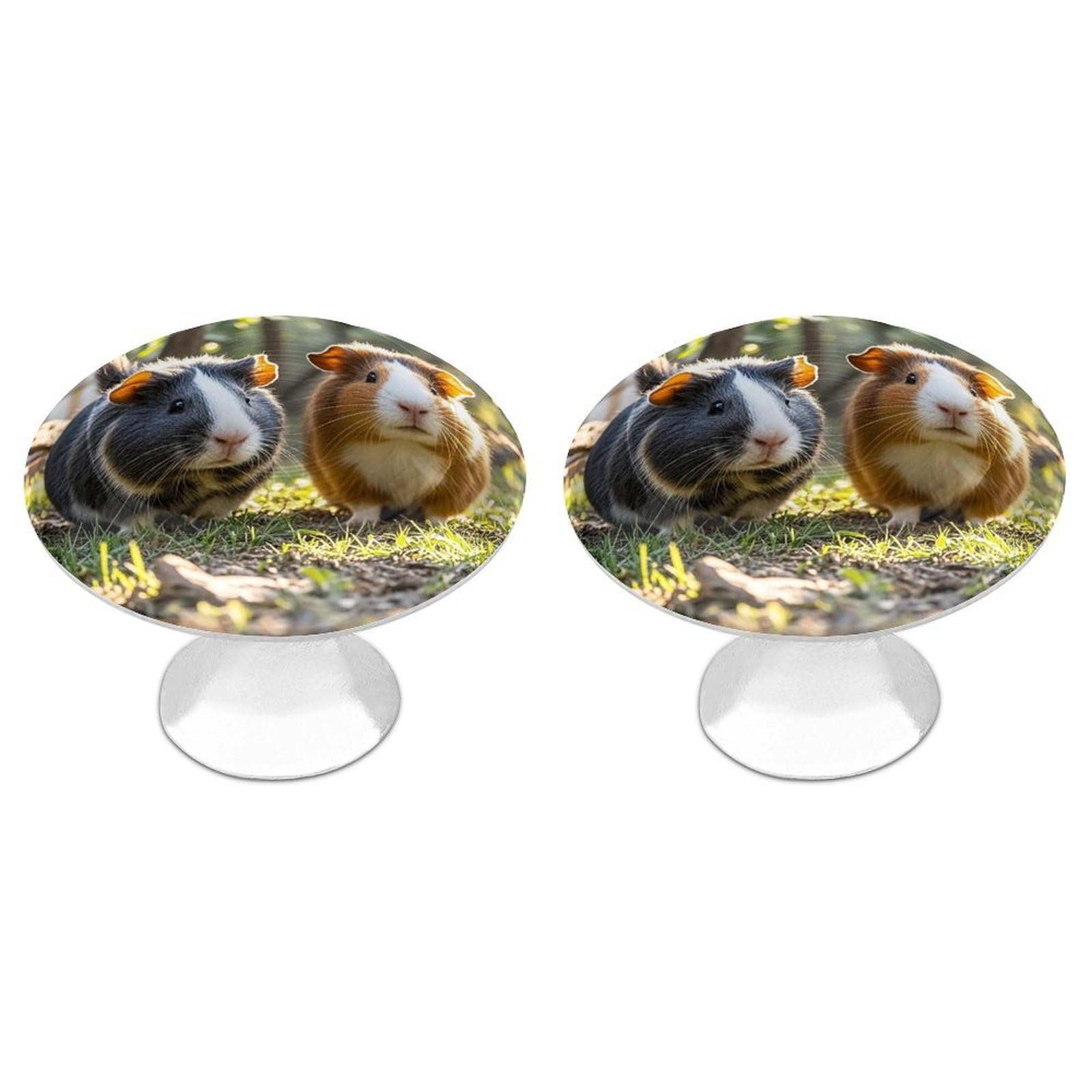 FekiLoot Two Guinea Pigs Hanging Out Cabinet Knob 2 Pack Mini Round Drawer Pulls Stainless Steel Dresser Drawer Knobs Kitchen Drawer Hardware for Bathroom Dresser Closet Door Knobs