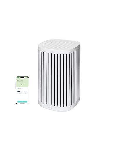 Windmill Air Purifier for Home, 3-In-1