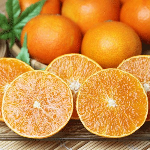 株式会社国安青果 愛媛まどんなお試し品 愛媛西宇和産