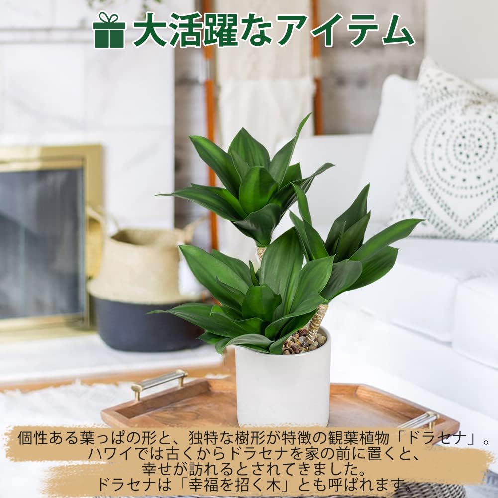 ドラセナ 人工植物 フェイクグリーン 卓上 リアル g1001416 高さ140cm
