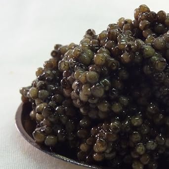 Russian Ossetra Crown Farmed Caviar, 16-Ounce Tin
