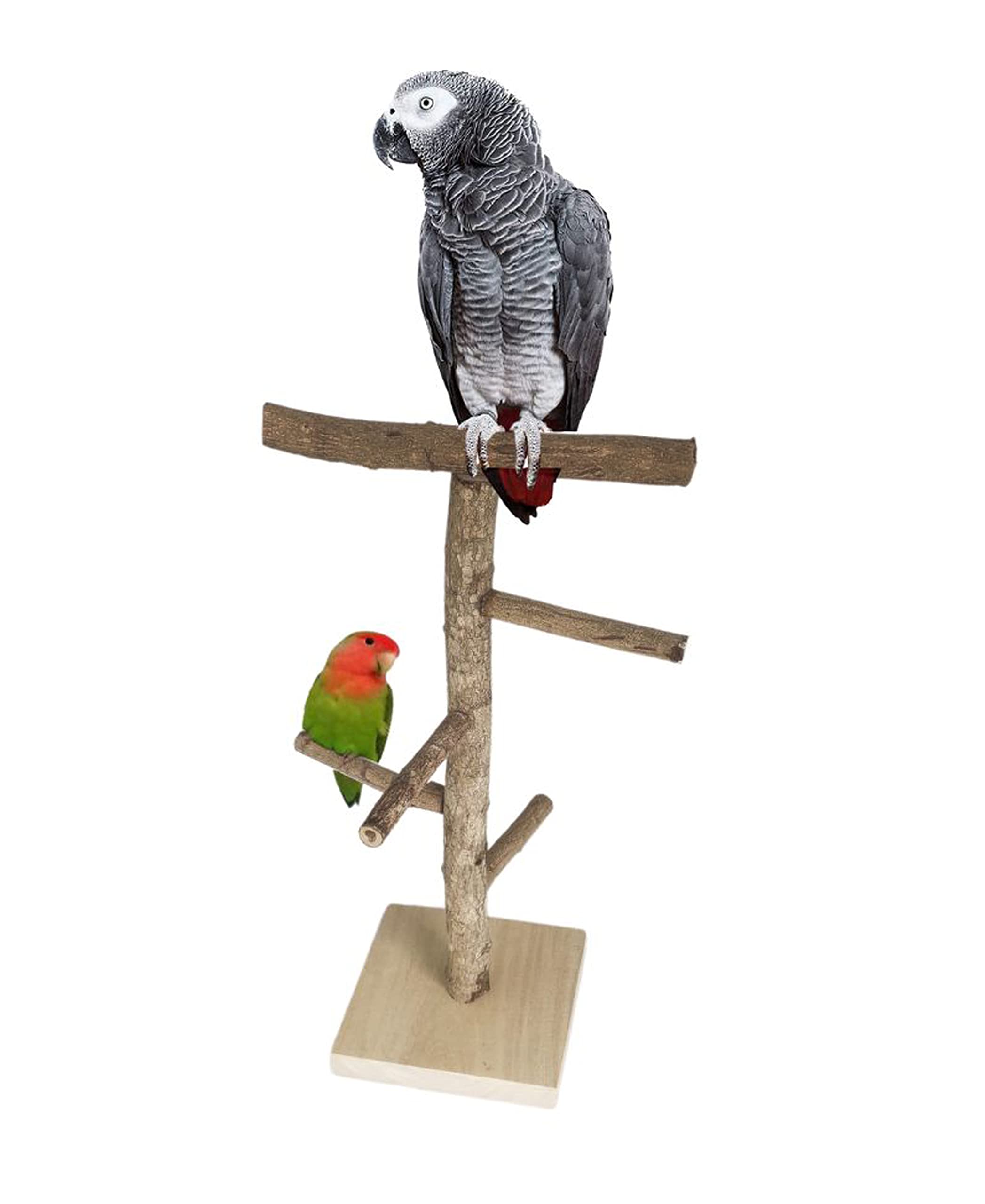 Parrot Birds Perches Paw Grinding Toy Cage Wooden Stand Toy Activity Branches Climbing 4 Stairs for Cockatiels,Love Bird, Conure Size Bird