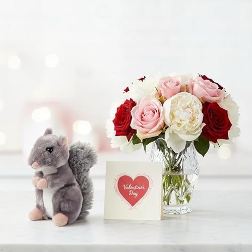 Miniatura 5 de The Petting Zoo - Peluche de ardilla de juguete, regalos para niños, animales salvajes de Babiez de Wild Onez, juguete de peluche de ardilla 6