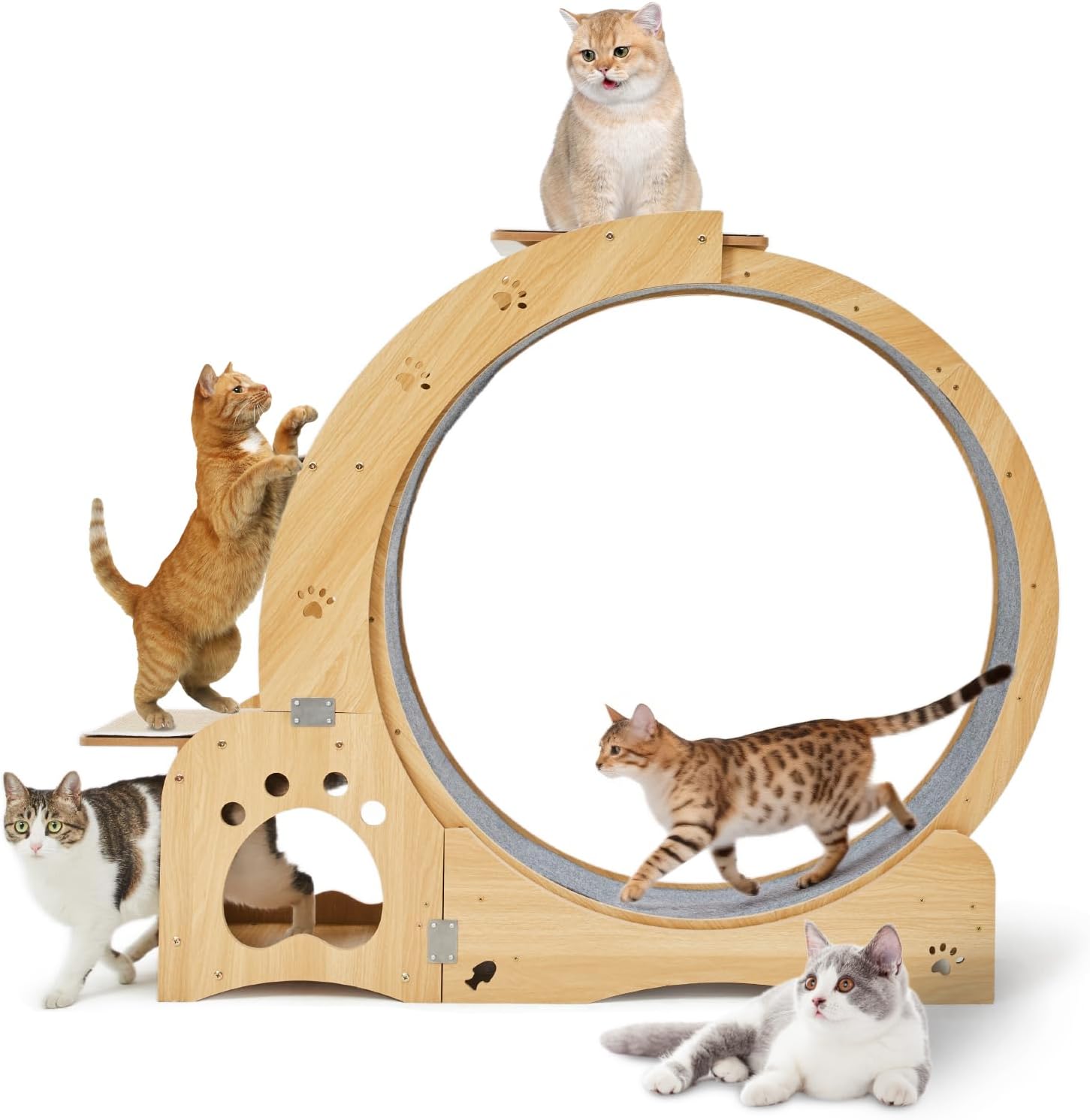 Cat Wheel 5-in-1 Upgraded Exercise Treadmill for Indoor Cats，Cats Treadmill with Silent Running,Tunnel,Wheels for Indoor