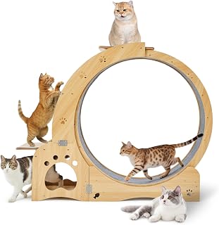 Cat Wheel 5-in-1 실내 고양이용 업그레이드 운동 러닝머신, 조용한 달리기, 터널, 실내용 바퀴가 있는 고양이 러닝머신