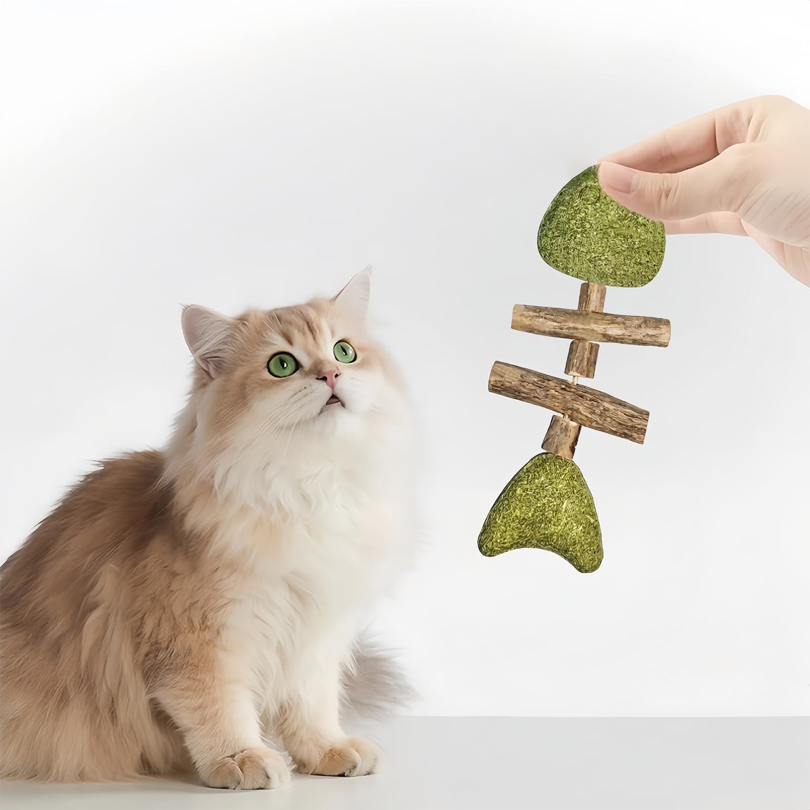 Katzen Beiß Spielzeuge 3-Teiliges Fischgräten Design Interaktiver Beißring | Katzen Kauspielzeug Für Zähne Geschenk Für Haustiere Spielzeug Gegen Langeweile