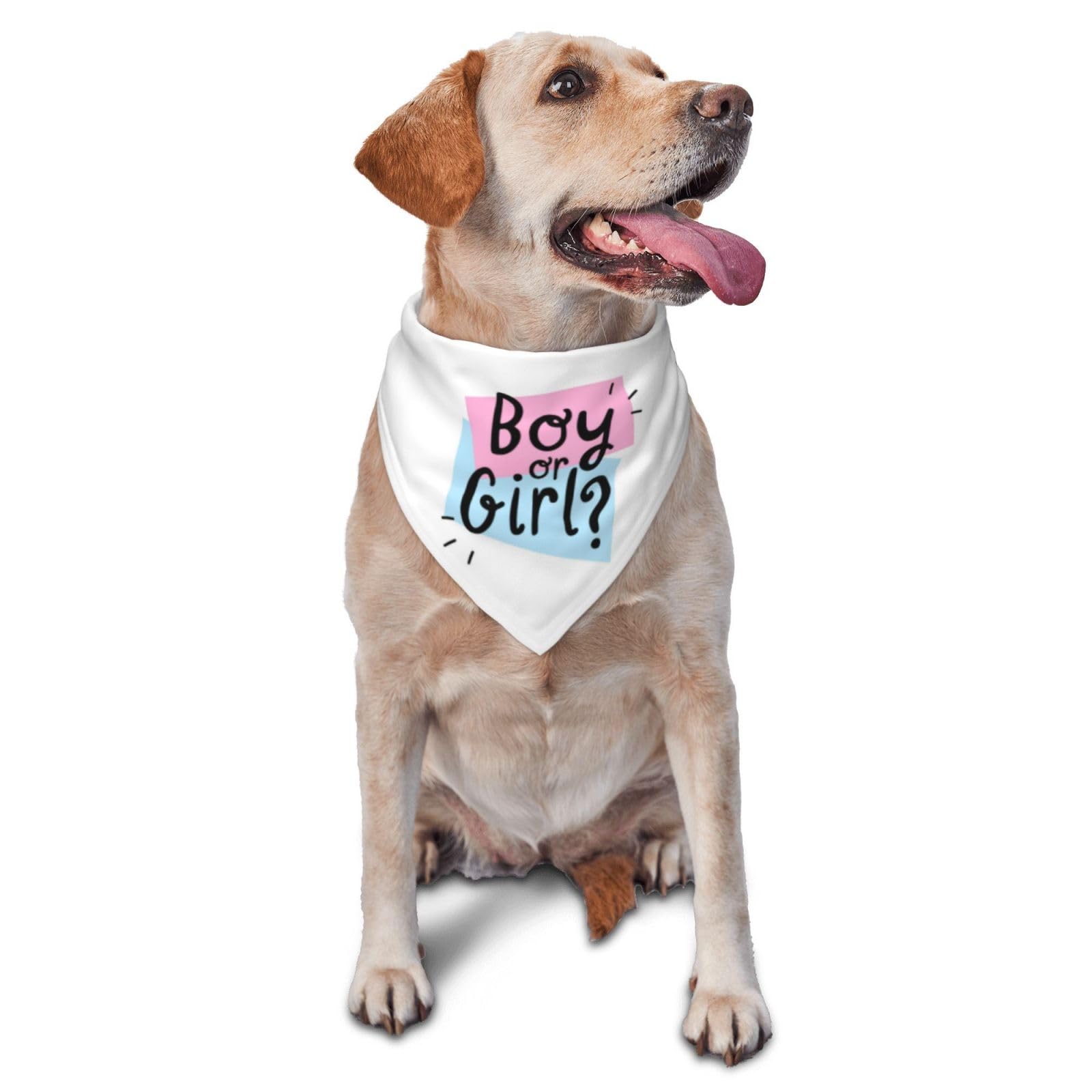 Bandana révélation de sexe blanc lisible et confortable pour accessoire photo de fête