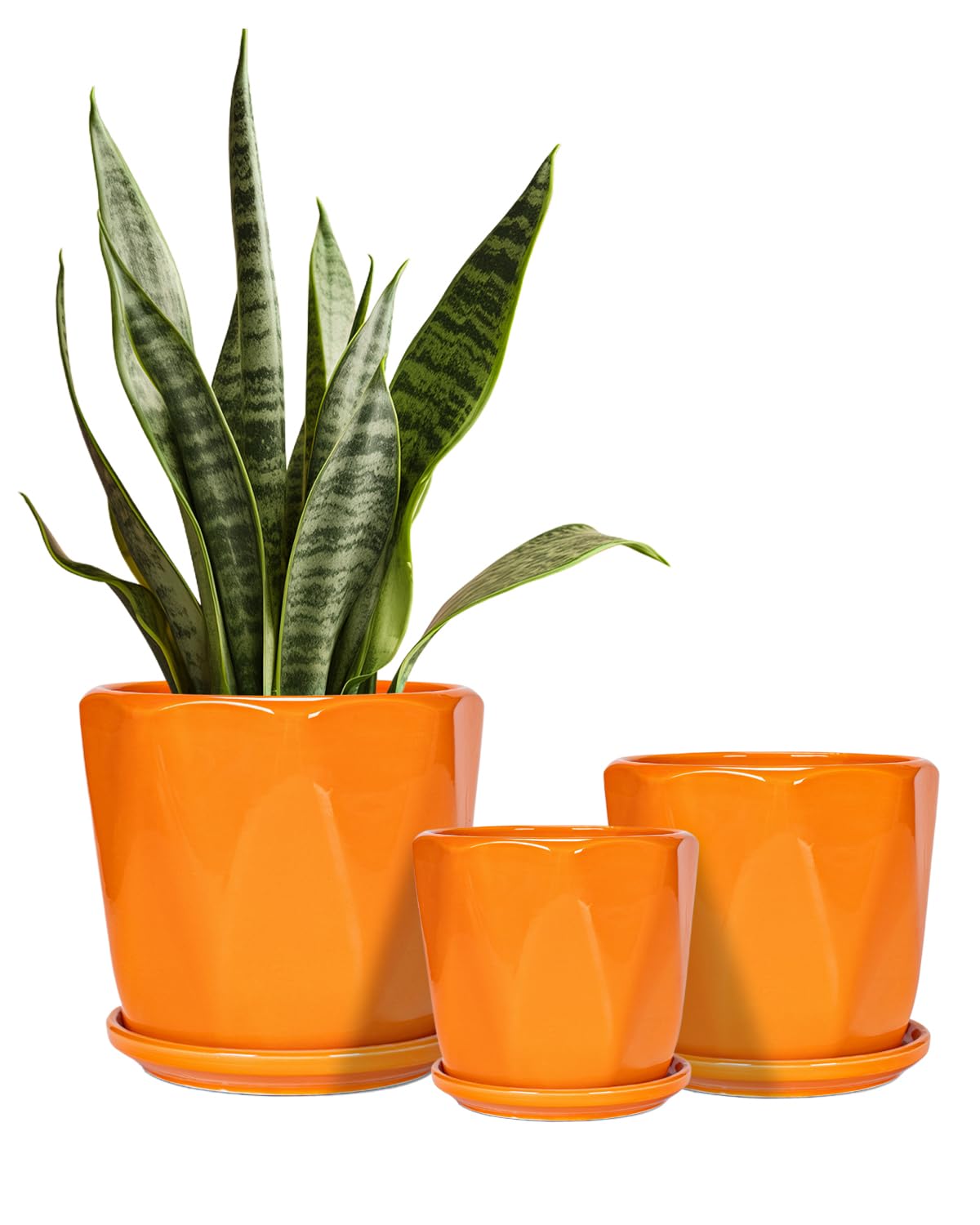 Amazon.com: Sin wings Ceramic Plant Pots, 6.7 + 5.3 + 3.9 Inch
