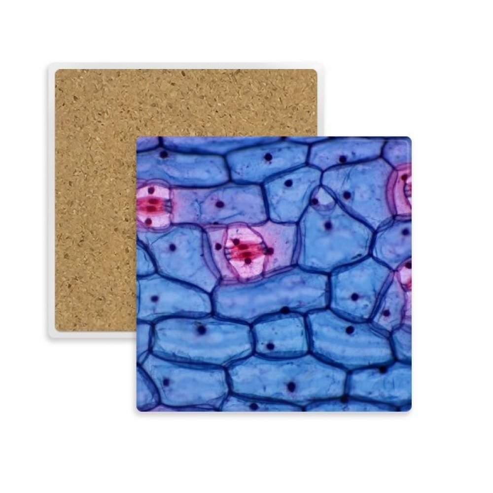 Dessous de verre bioplastique microcosmique finitions de qualité