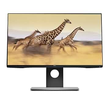 DELL U2417H モニター 本体 Amazon.com: Dell UltraSharp U2417H 23.8