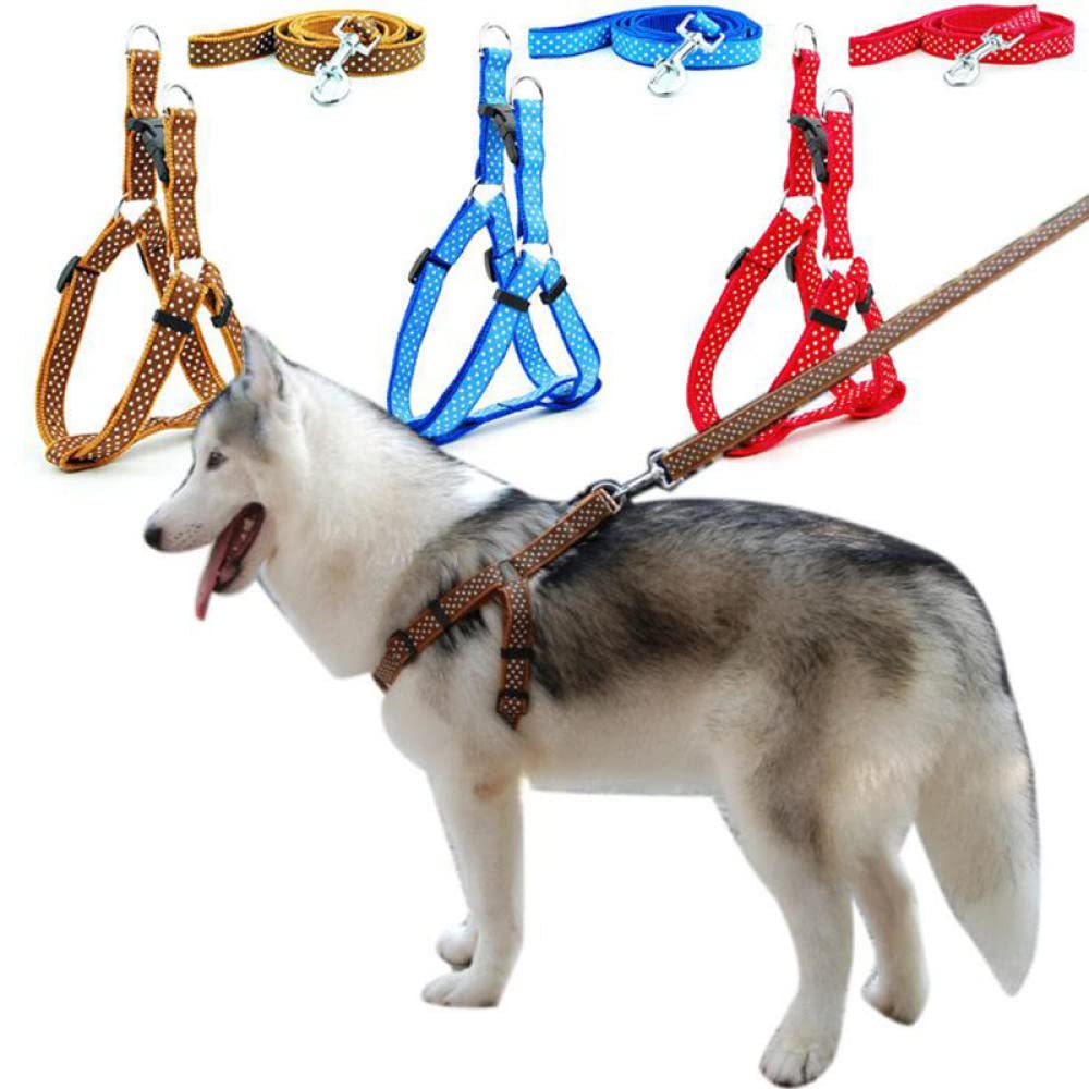 Conjunto de Correa for Perro, arnés Estampado, arnés y Correa for Perro pequeño, for pasear Gatos, 3 m,Bolso para Perros(27,XS)