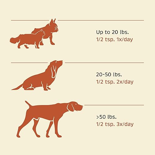 Miniatura 6 de Dental para gatos y perros - Polvo de soporte dental para perros y gatos - Suplementos de salud dental para mascotas con calcio y apoyo para el