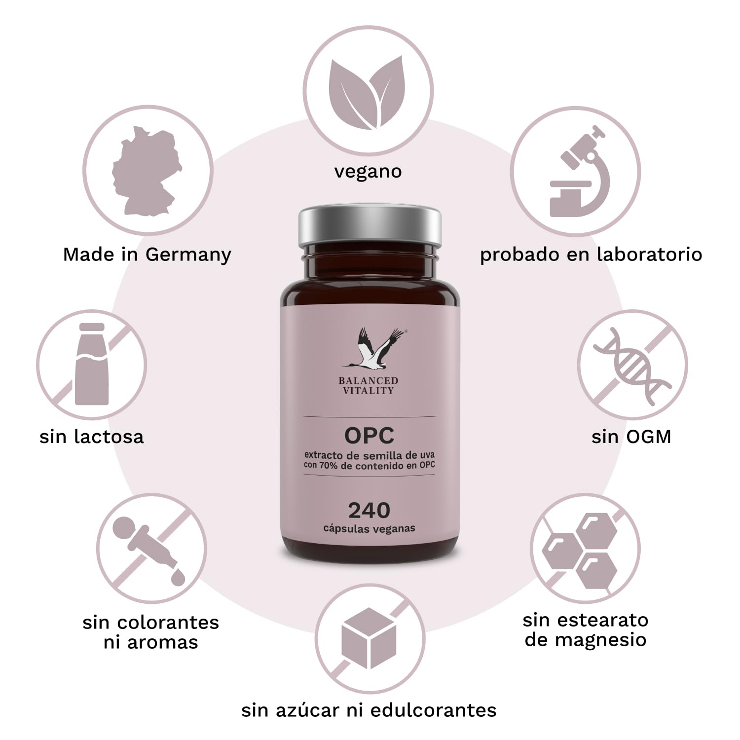 Extracto de semilla de uva OPC - 240 cápsulas veganas - Dosis diaria óptima: 500 mg de extracto por cápsula - Probado en laboratorio - Suministro para 8 meses - Sin aditivos - Fabricado en Alemania