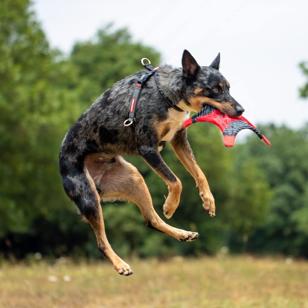 EzyDog Crosscheck No Pull Dog Training Harness – 2-in-1 Escape Proof Reflective Dog Harness for Easy Controlled Walks (XL, Red)