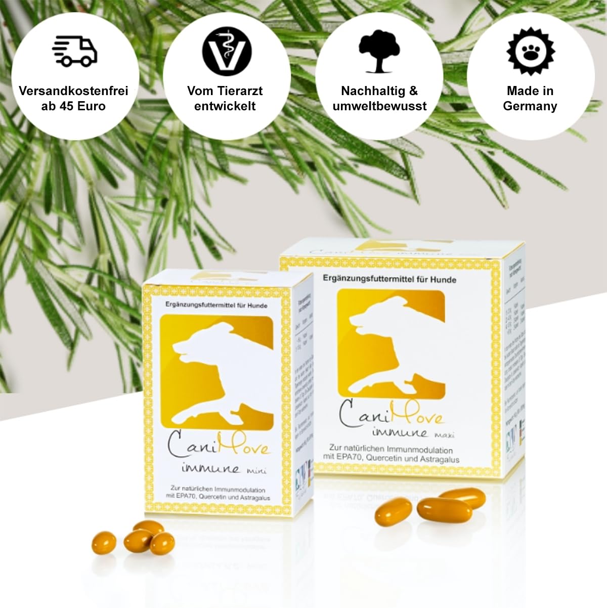 Immune mini (100 Kps), Booster zum Immunsystem stärken und modulieren, für Immunobalance, mit EPA, Tragant und OPC
