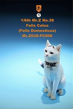 Amazon | Mr.Z 1/6 サイズ 猫 可愛い 家猫 動物 リアル フィギュア PVC