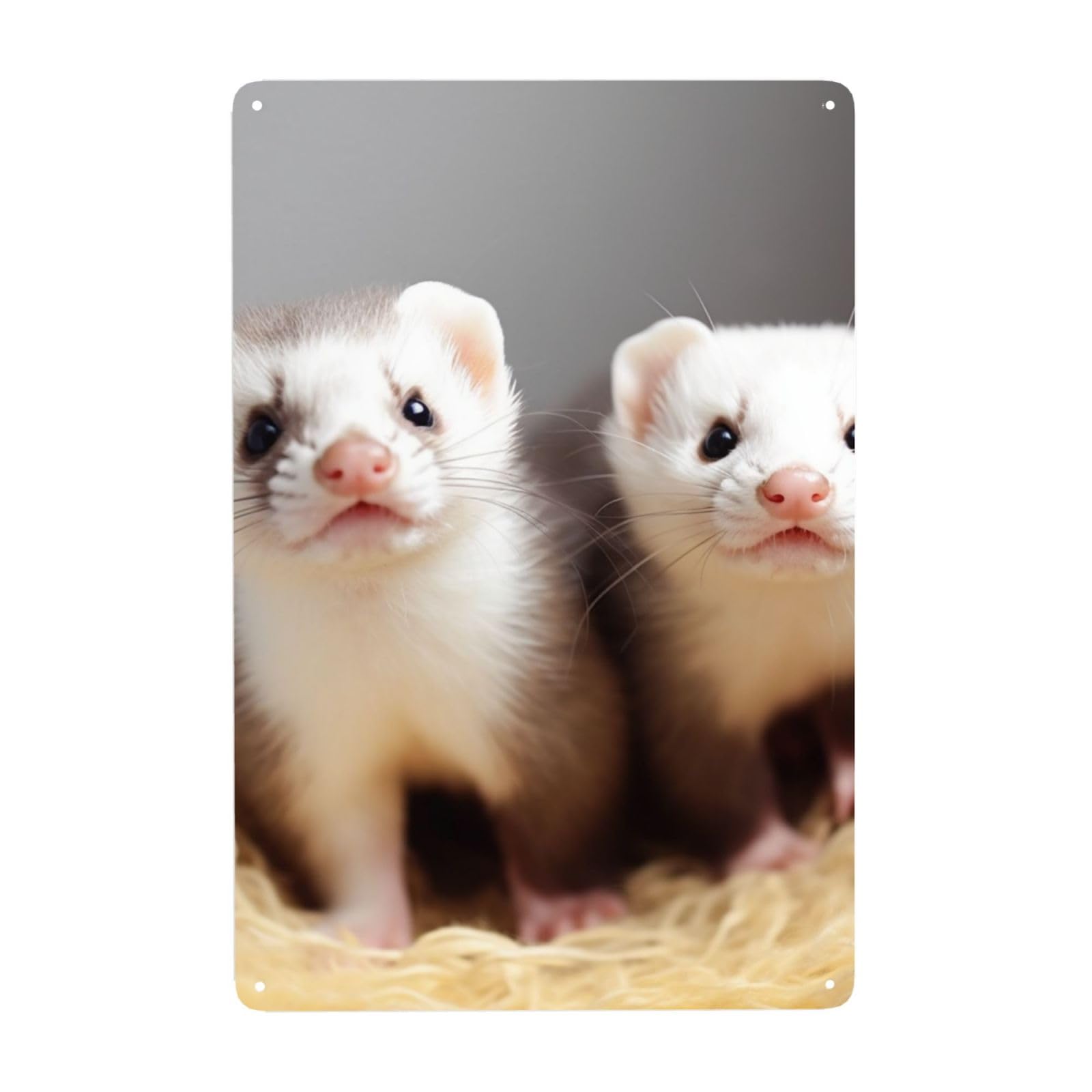 Fodpand White Vintage Tin Signs Metal Retro Wall Art Decor - Wall Hanging Decorative Plaque 8X12 Inch, Ferrets Metal Signs For Home Yoga Cafes, Funny Metal Poster For Gifts