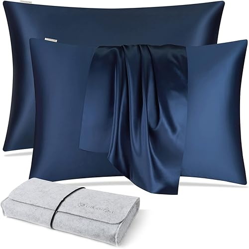 Vista 9 de DISANGNI Funda de almohada de seda de morera 100% natural para cabello y piel con cremallera oculta, 22 momme ambos lados