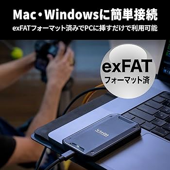 Amazon | サンディスクプロフェッショナル 外付け ポータブルSSD 1TB